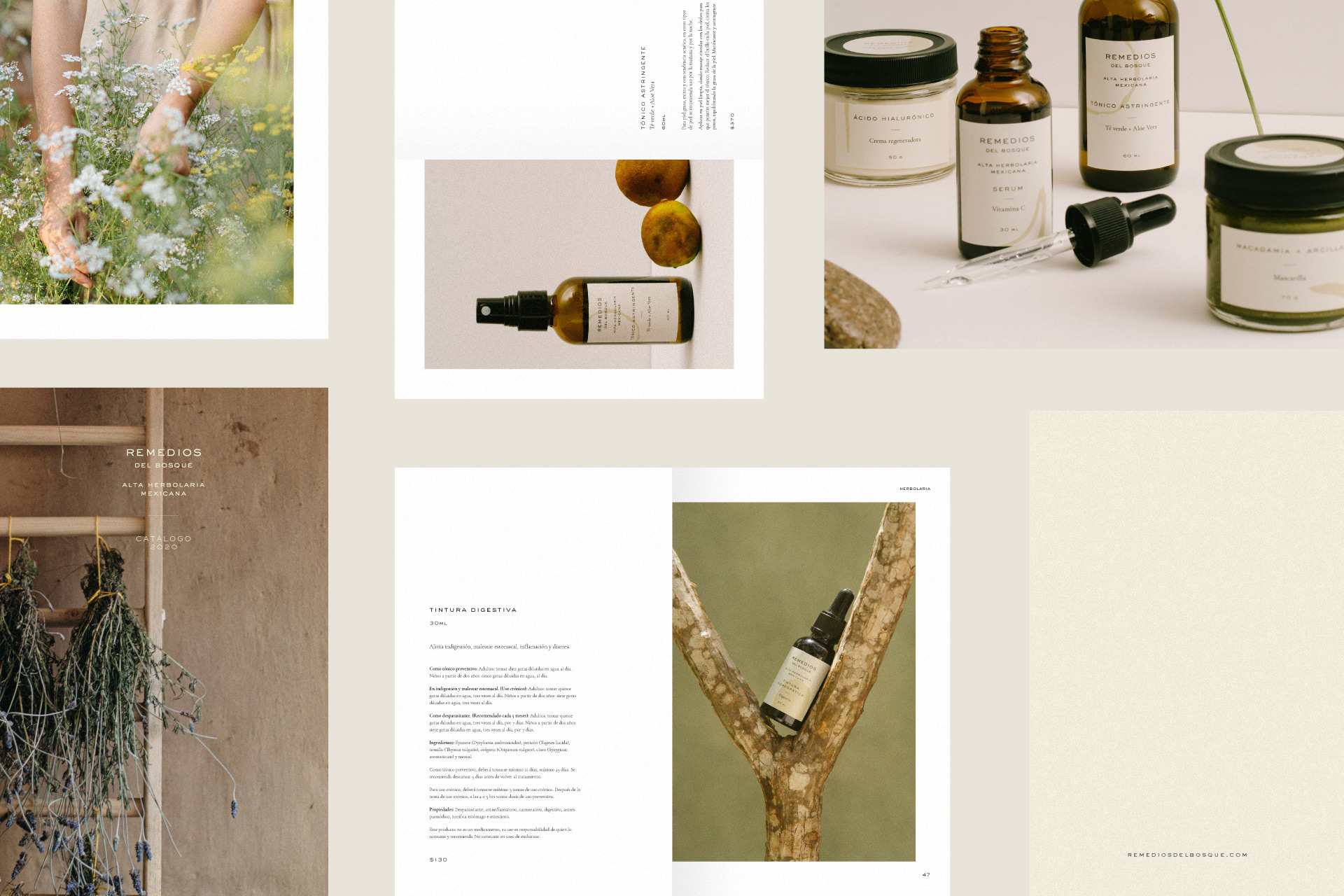 Acomodo-Web-REMEDIOS_4_web
