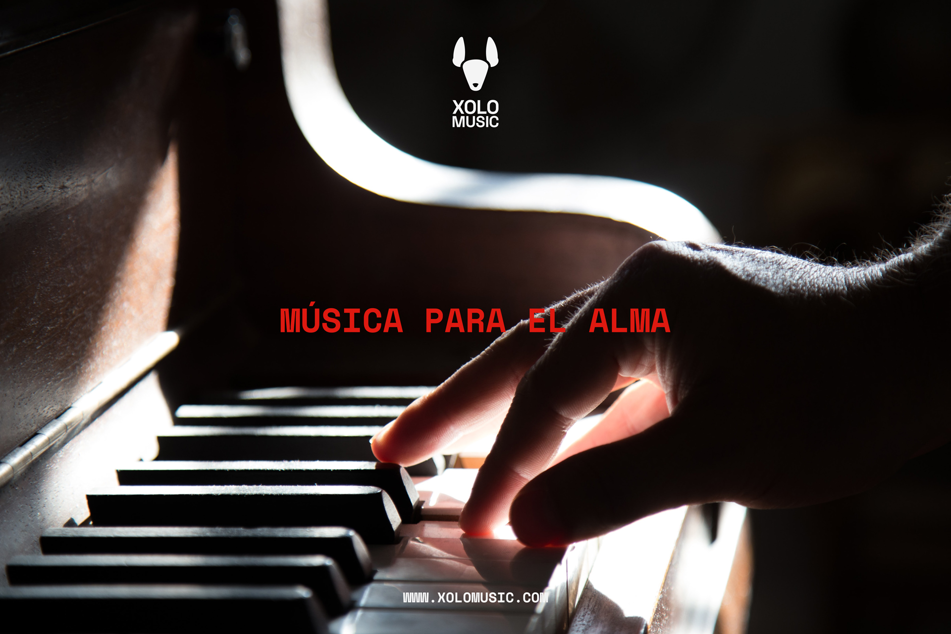 XoloMusic_NA_Web-02_web