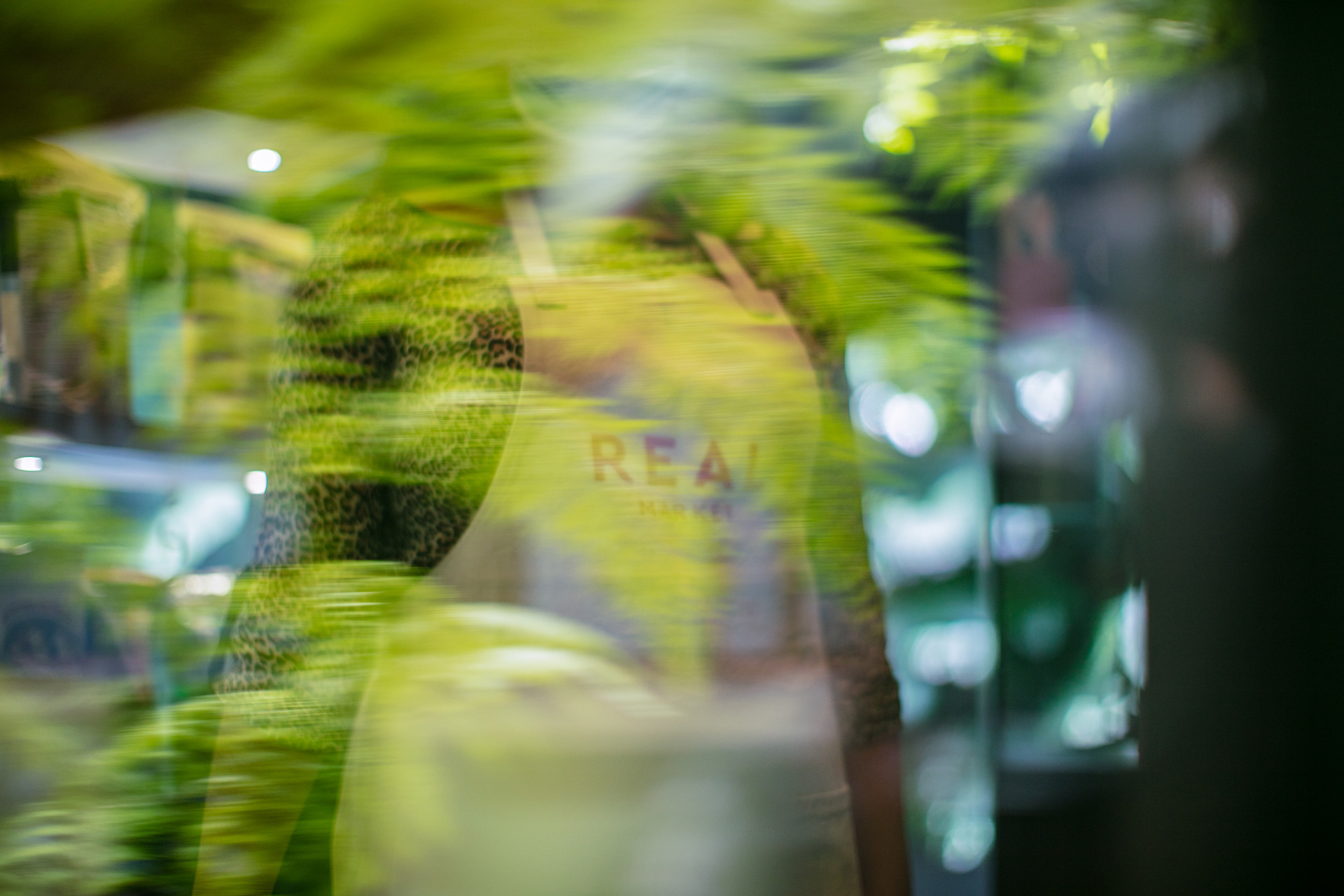 3H7A5643-Edit