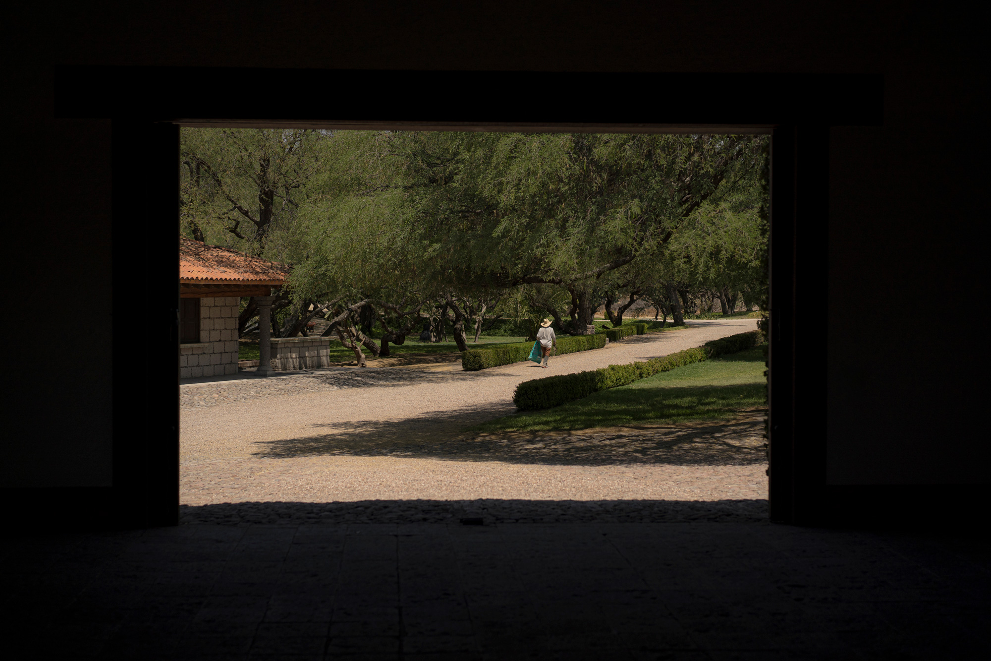 IB_00621_web