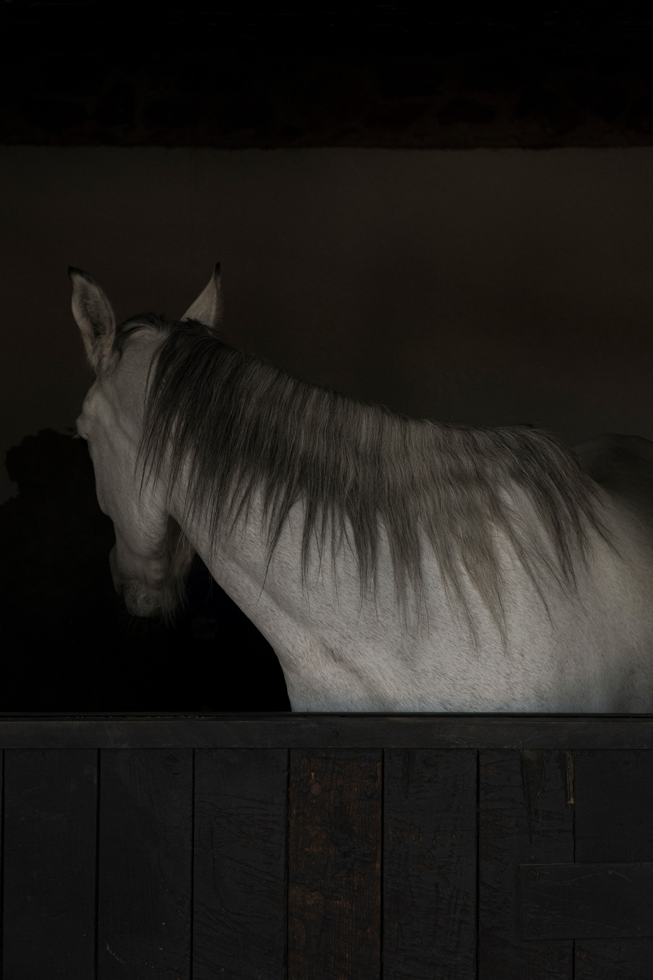 IB_00940_web