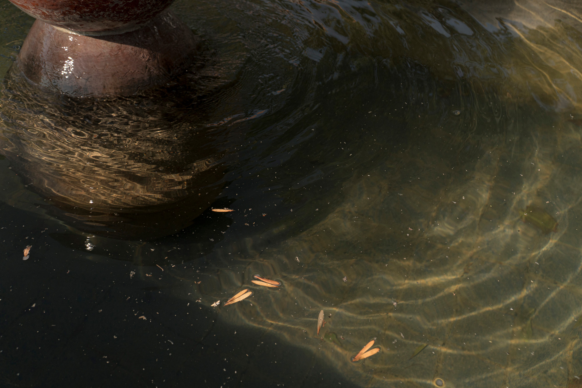 IB_01117_web