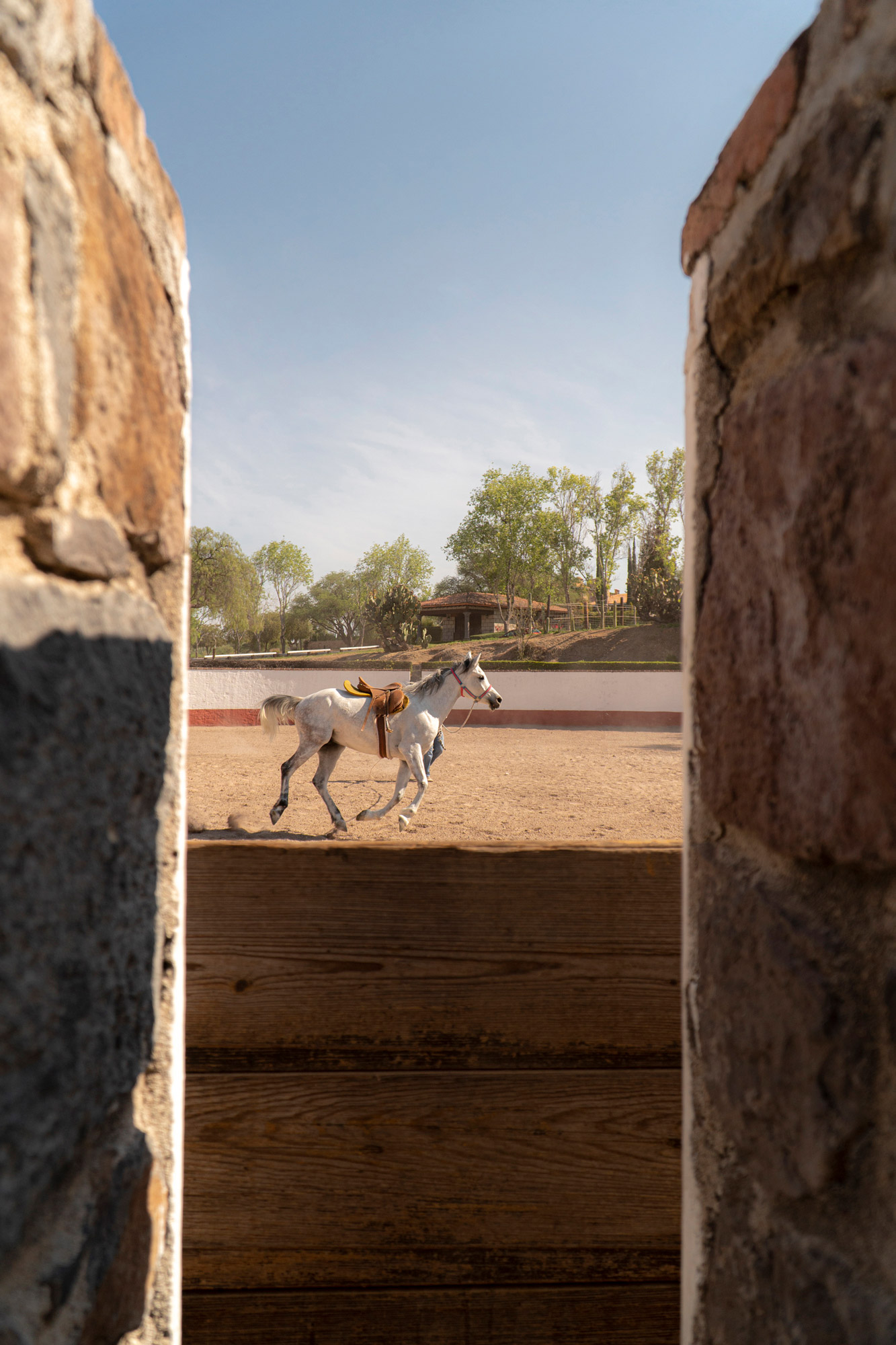 IB_01223_web