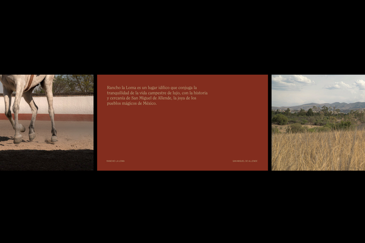 book de ventas